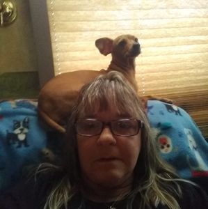 Meet your Posher, Tammy jo loechel